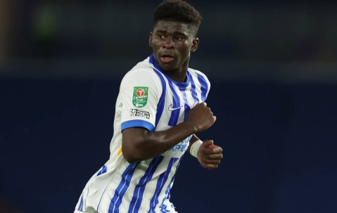 曼联豪掷1.12亿英镑求购巴莱巴：英超转会市场的惊人之举