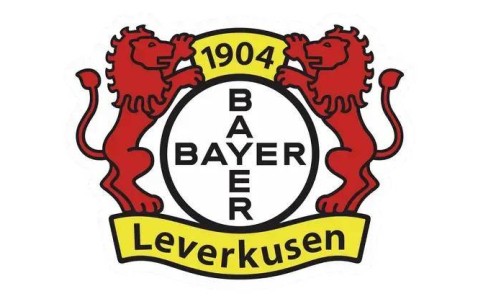 勒沃库森选帅最新进展：劳尔进入最终名单，德甲豪门将做重要决定