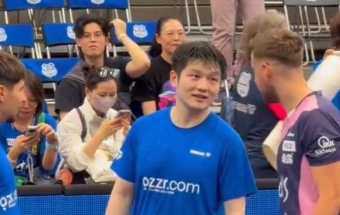 比赛失利仍吸粉！樊振东首秀德甲小城，小城因他掀起商业与文化热潮