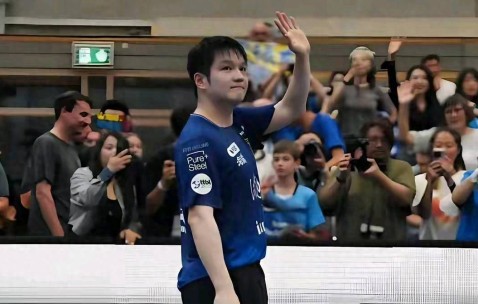 德媒：樊振东一人让德甲成为国际赛事