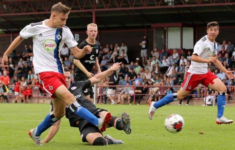 德甲：汉堡VS美因茨，十年比分专家最新预测