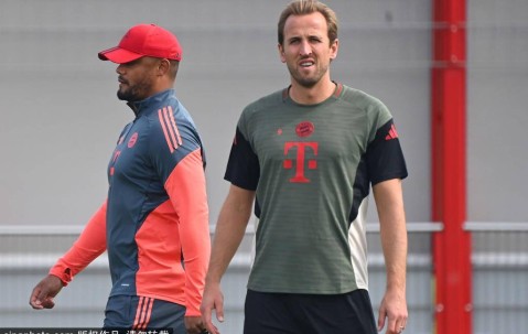 霍芬海姆足球俱乐部21人一览：德甲新赛季球星卡（25/26赛季）